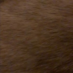 Meet your Posher, Lesley